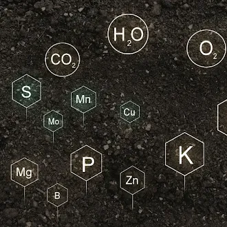Blog-post-120-Nutrient-Details