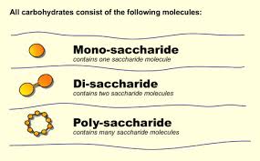 Blog-post-10-saccharides