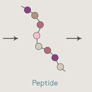 Blog post 12 - Protein 101 Featured Image
