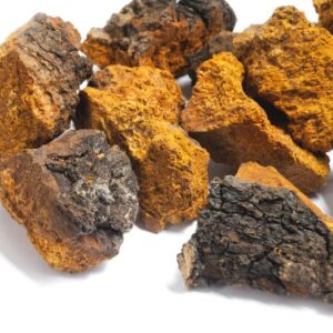Blog-post-13-Chaga-Pieces