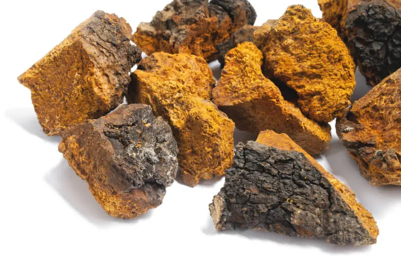 Blog-post-13-Chaga-Pieces