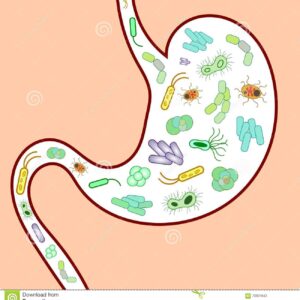 Blog post 8 - Microbiome Featured Image