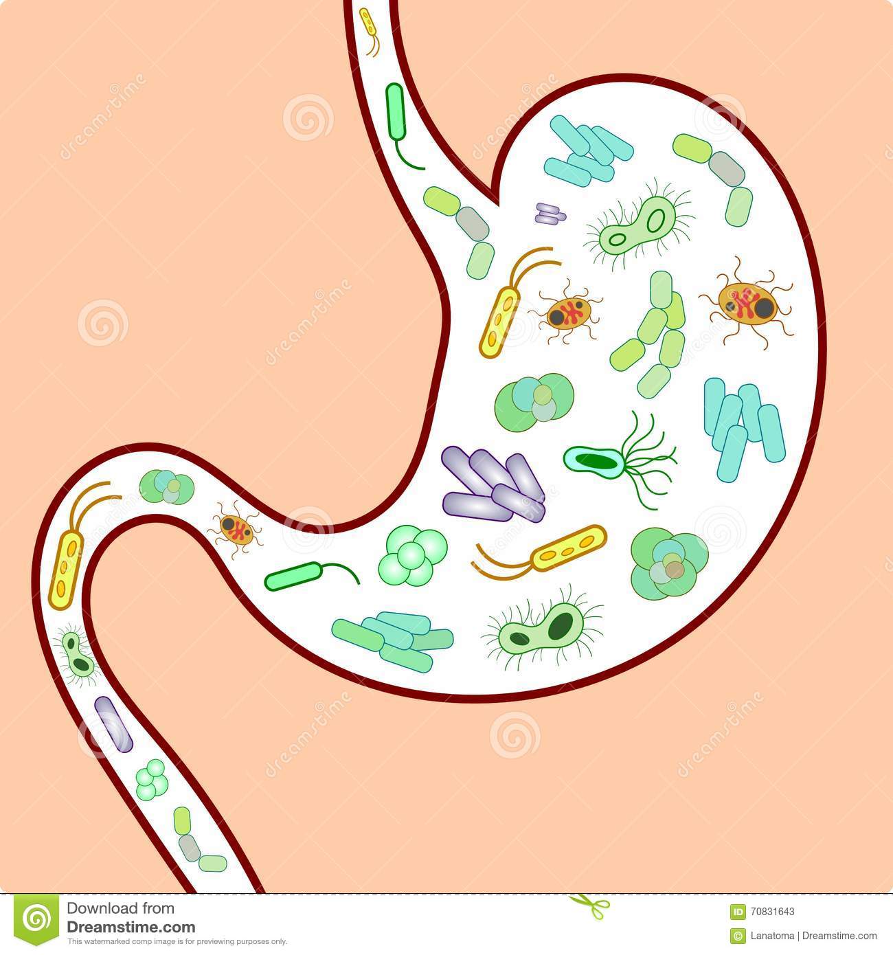 Blog post 8 - Microbiome Featured Image
