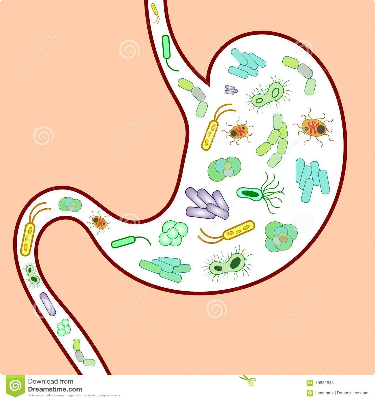 Blog post 8 - Microbiome Featured Image