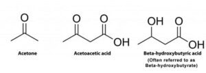 Blog-post-27-Ketone-bodies