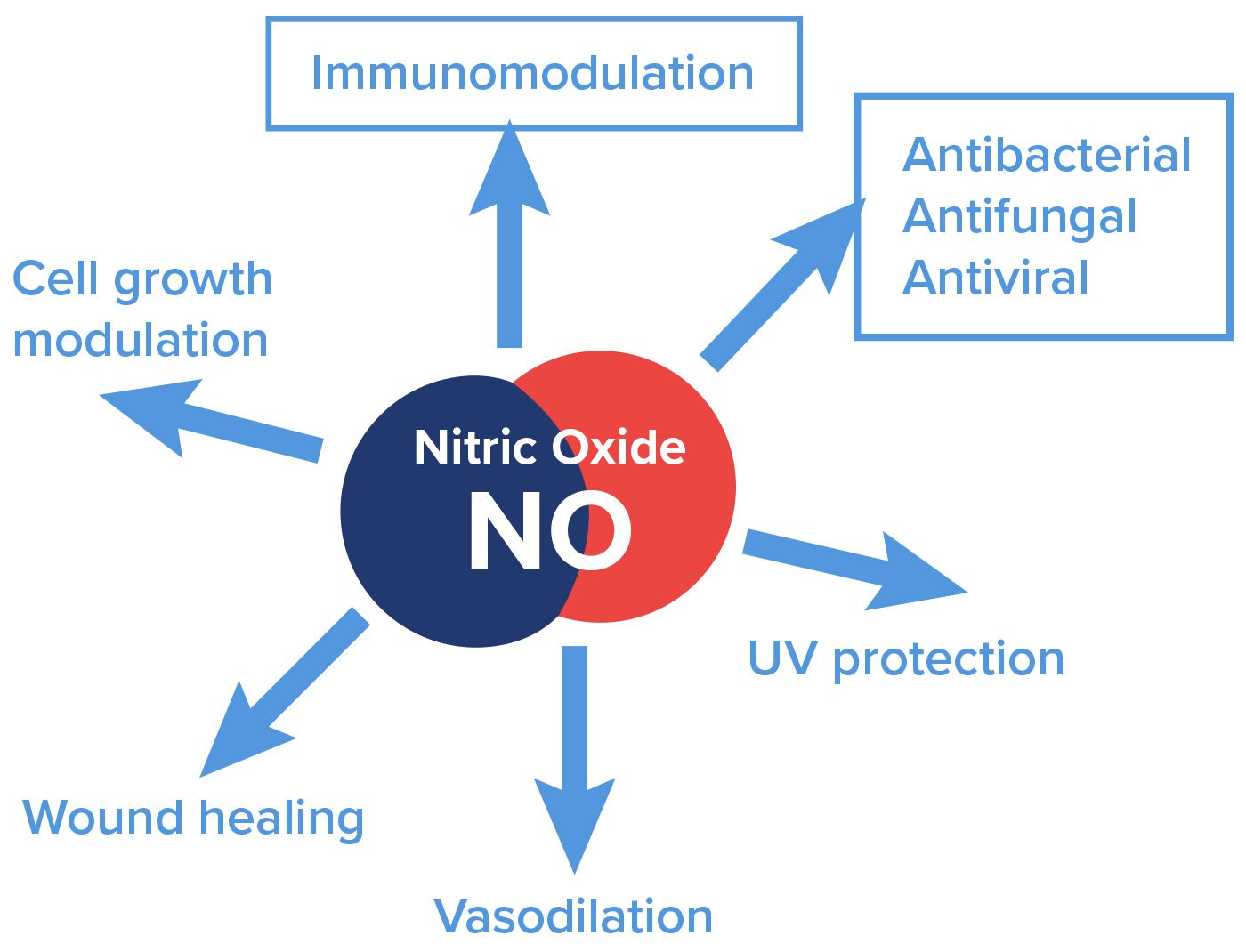 Blog-post-31-Nitric-Oxide