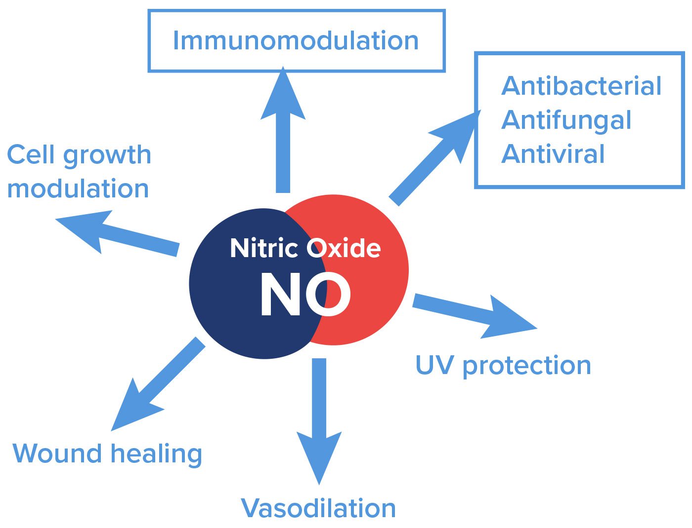 YES to NO - Nitric Oxide Booster