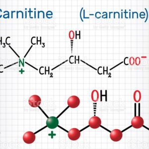 Blog post 37 - Carnitine