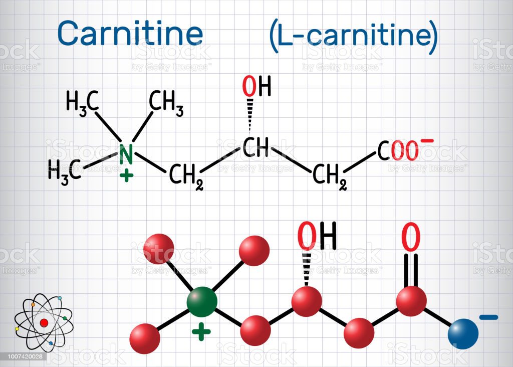 Blog post 37 - Carnitine
