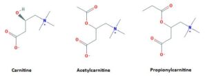 Blog-post-37-carnitine-types