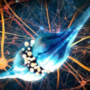 Blog post 42 - Neurotransmitters Cover