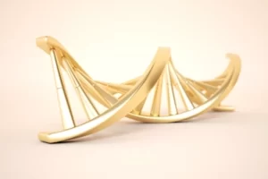 Main-Nutritional-Levers-Service-Package