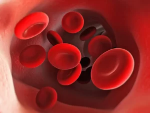 Blog-post-21-Red-Blood-Cells