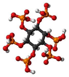 Blog-post-22-Phytic-Acid-Molecule