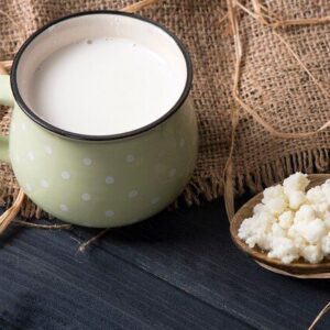 Blog-post-26-Kefir-Grains