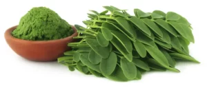 Blog-post-29-Moringa