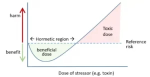 Blog-post-34-Hormesis