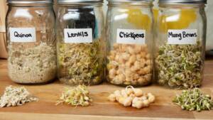 Blog-post-35-soaking-sprouting-fermenting