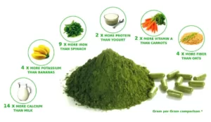 Blog-post-11-Spirulina-Protein-Content-Comparison