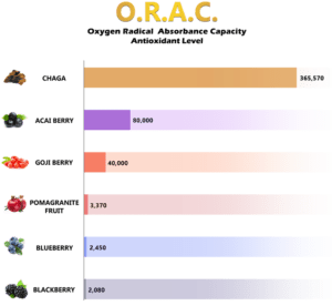 Blog-post-13-Chaga-ORAC-values