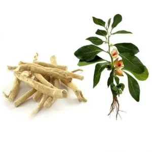 Blog-post-18-Ashwagandha-Plant-and-Root