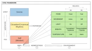 Blog-post-25-Sync-Framework