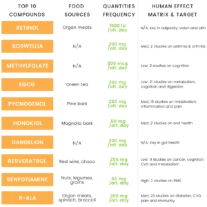 Blog-post-25-Top-10-Supplements-Stack