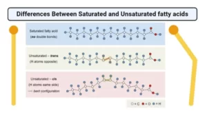 Blog-post-7-Saturated-and-Unsaturated-Fatty-Acids