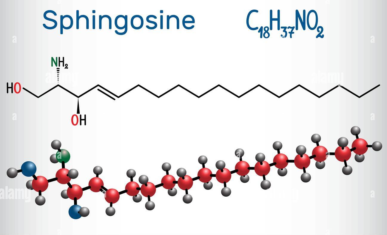 Fat 101 - Macromolecule Basics