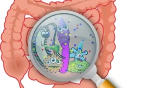 Blog-post-8-Gut-Microbiome