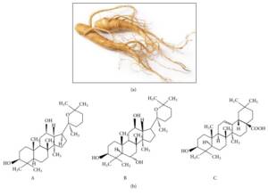 Blog-post-9-Panax-Ginseng-and-Ginsenoside-Molecule