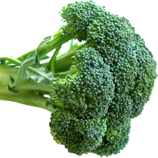 Blog-post-58-Broccoli