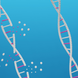 Blog-post-62-DNA-damage