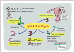 Blog-post-78-Types-of-collagen