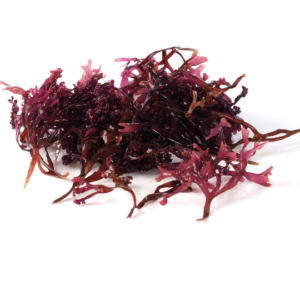 Blog-post-80-Seaweed