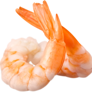 Blog-post-84-Shrimp