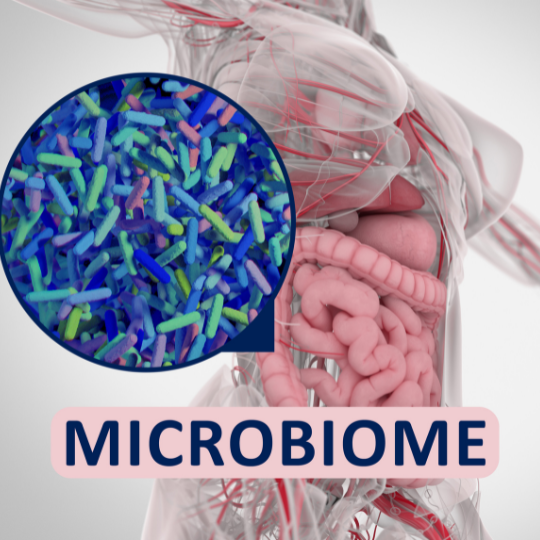 Blog-post-85-Microbiome