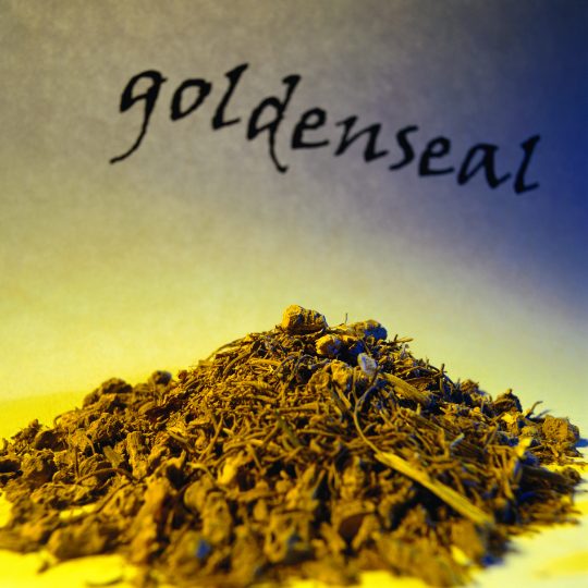 Blog-post-90-Goldenseal-Berberine