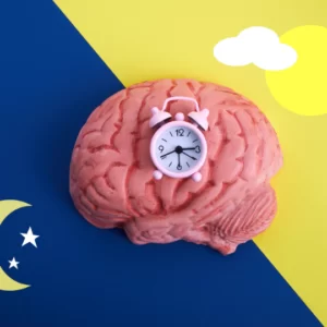 Blog-post-102-Circadian-Rhythm