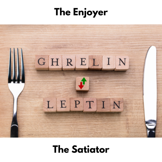 Blog-post-111-Ghrelin-and-Leptin