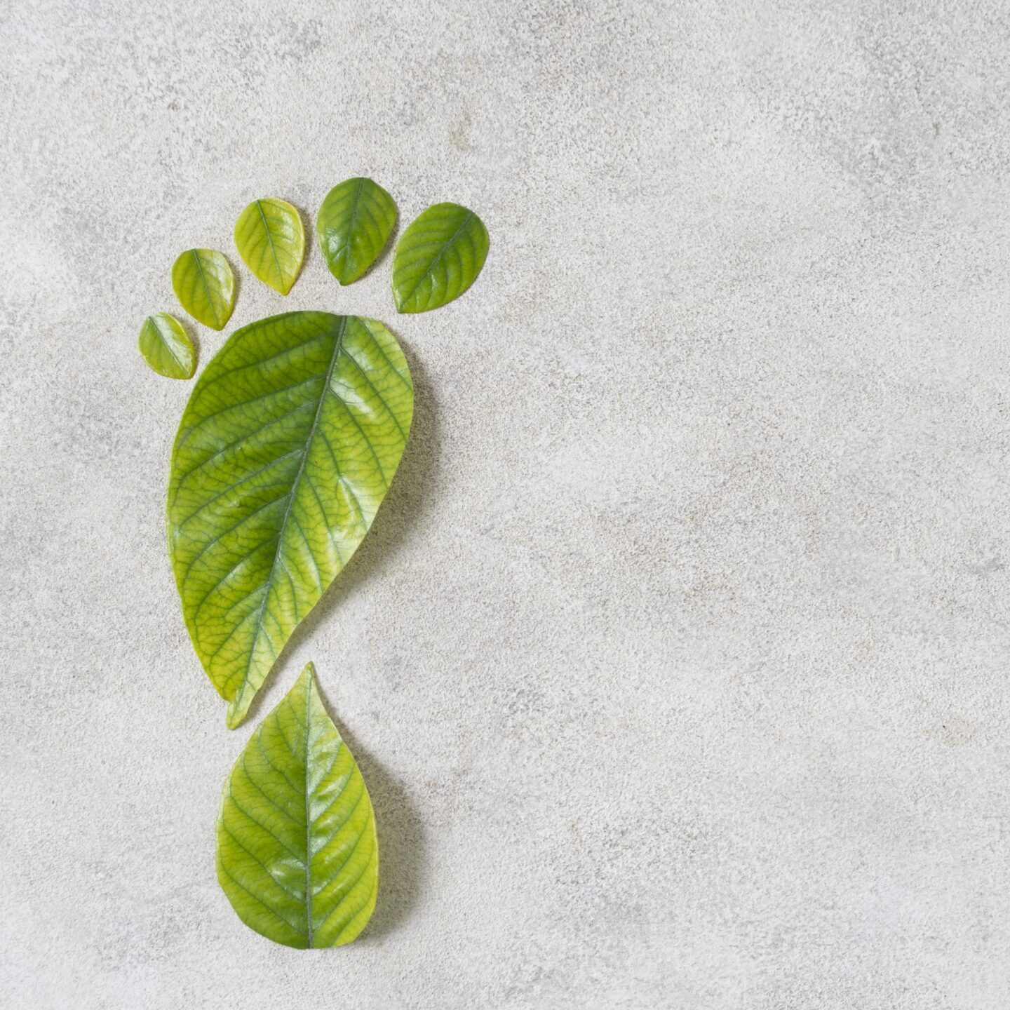 still-life-sustainable-lifestyle-elements-composition still-life-sustainable-lifestyle-elements-composition